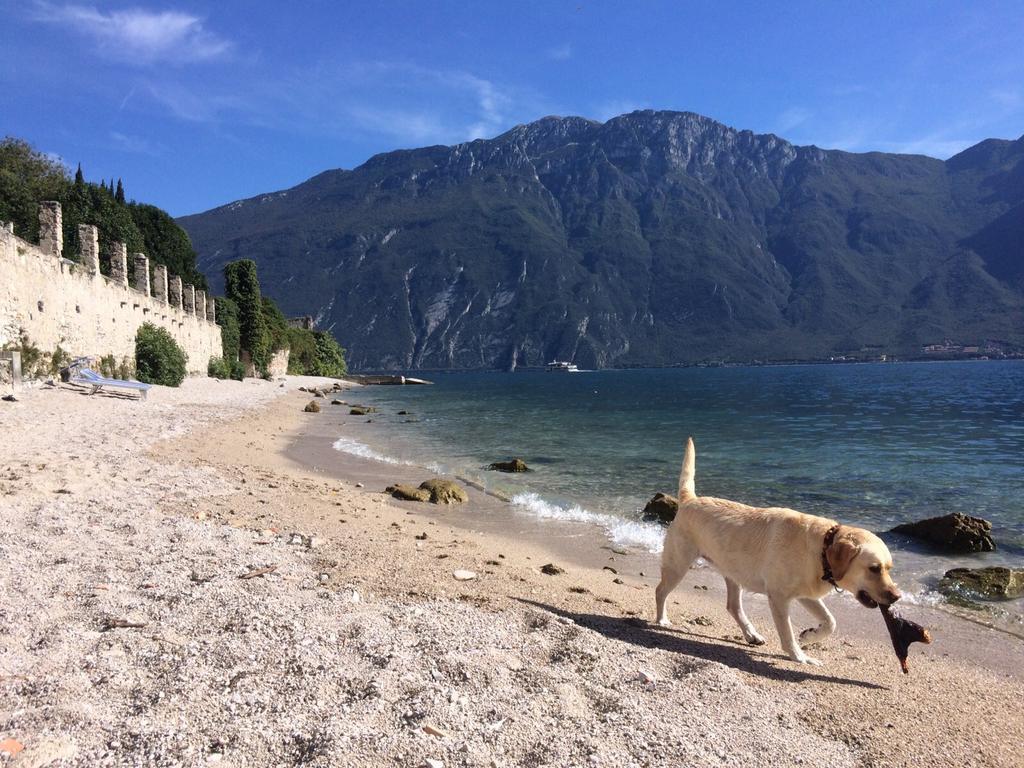 B&B Casa Limone Limone sul Garda Exterior foto